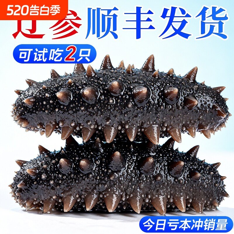 大连海参即食刺参礼盒淡干辽参鲜活生海渗独立包装袋官方旗舰店