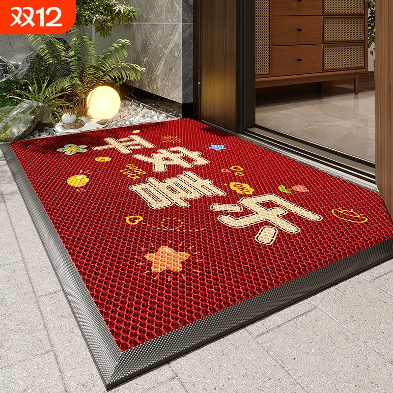 2025新款入户地垫防滑脚垫
