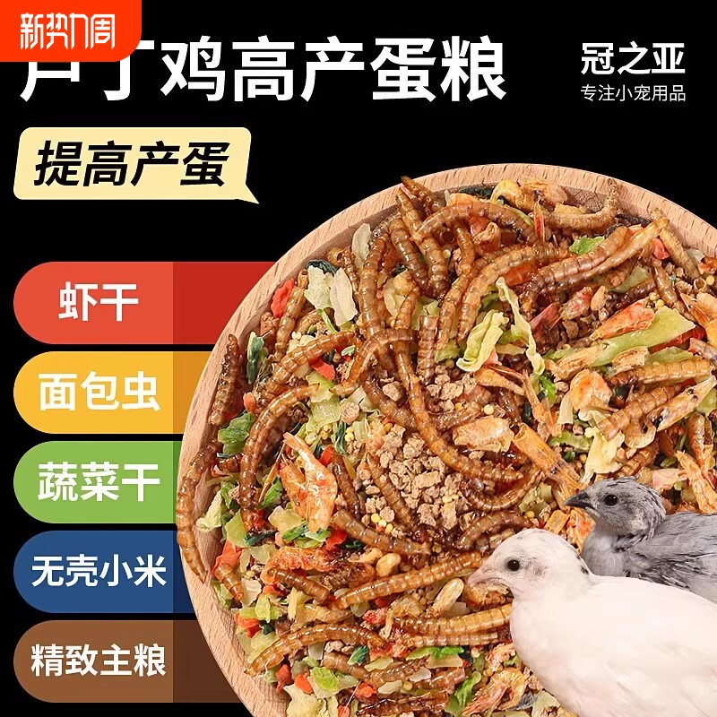 芦丁鸡粮食产蛋饲料专用下蛋粮卢丁鸡小鸡幼鸡开口育雏食物零食
