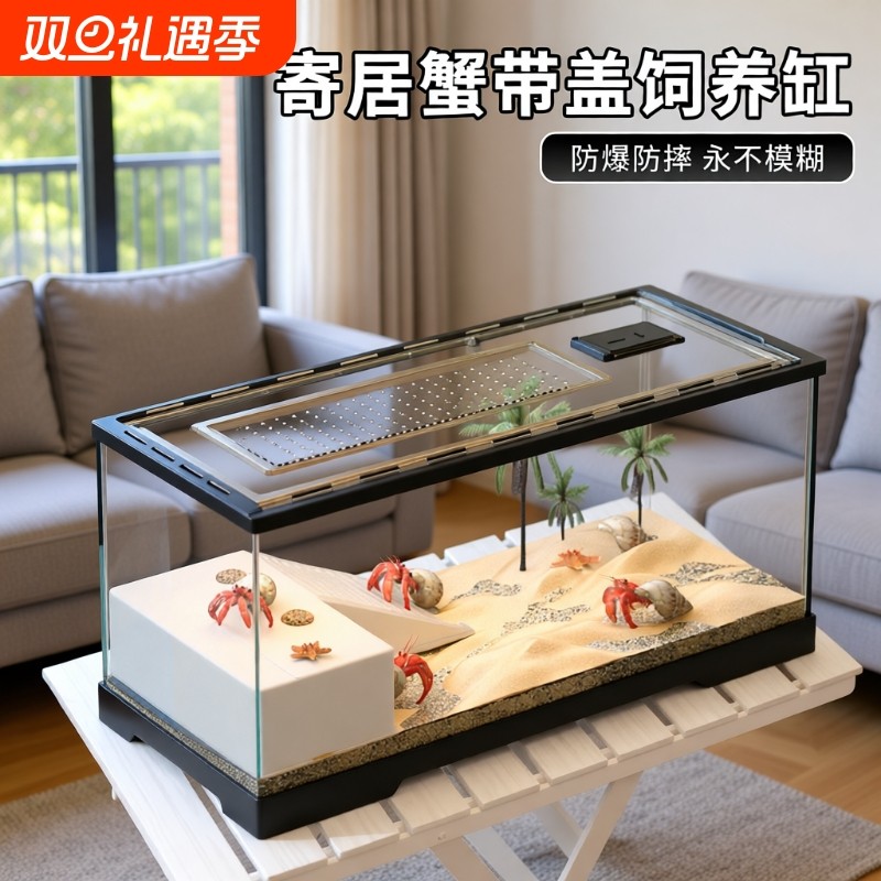 新手寄居蟹饲养箱小型造景专用套装相守蟹螃蟹生态缸乌龟饲养缸
