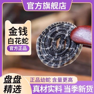 正宗特级白花蛇金钱白花蛇中药材小百花蛇一条包邮白花蛇干泡酒料