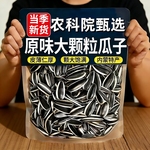 内蒙古原味瓜子葵花籽2025新货炒熟大颗粒5斤装年货炒货零食批发