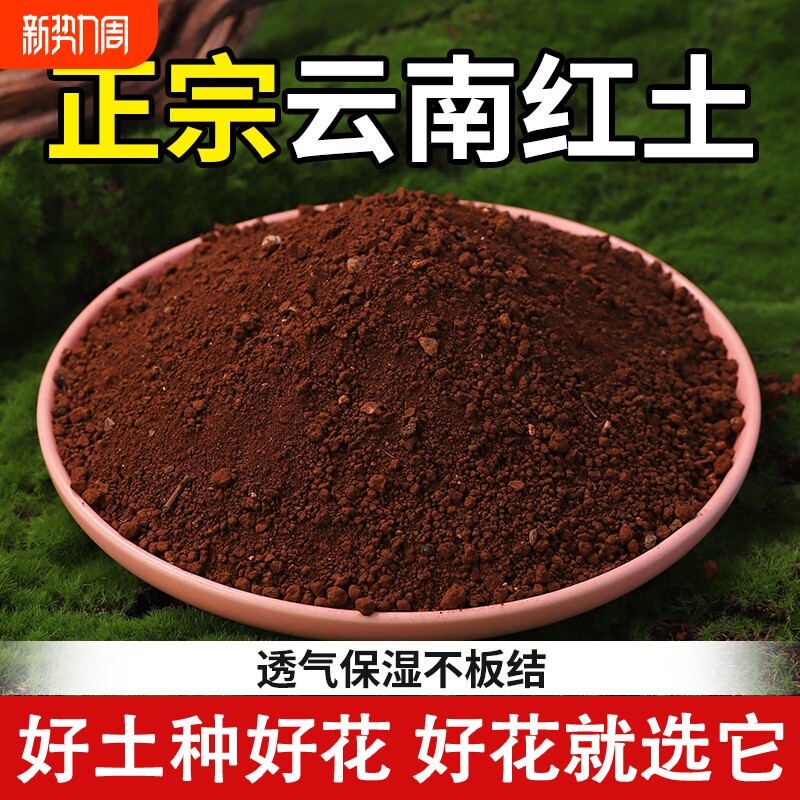 红土云南高原酸性土茉莉专用天然红泥土小颗粒茶花桂花兰花营养土