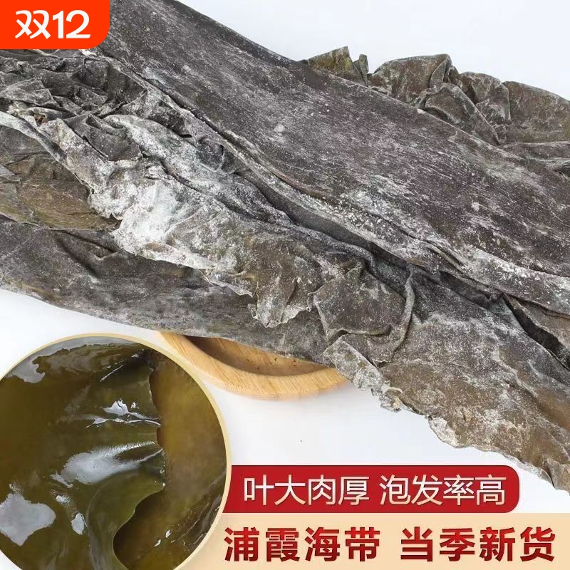 霞浦海带干货干海带日晒福建厚实新货散装批发煲汤野干海带厚凉拌
