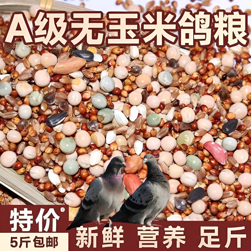 鸽粮50斤高粱玉米粒清除鸽子食粮营养饲料小麦无玉米幼鸽粮食混合