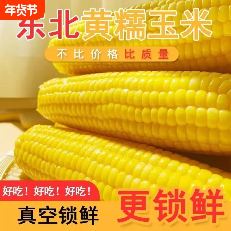 2025年新季东北黄糯玉米真空包装新鲜香粘黏苞米粗粮软糯香甜健康