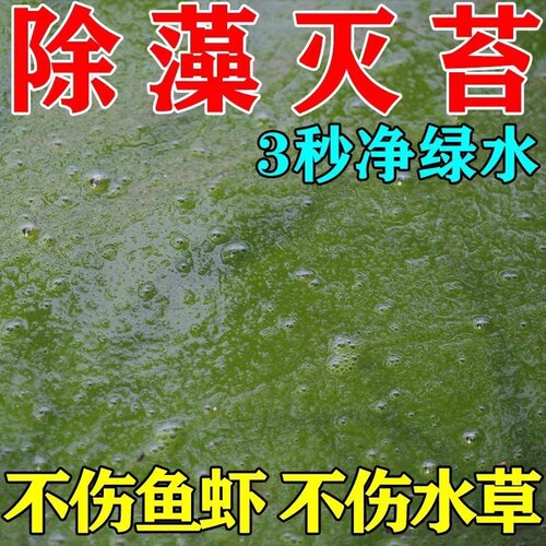 鱼池除藻去苔剂不伤鱼青苔灭绿水藻去除剂水池浮萍清除剂水质蓝藻