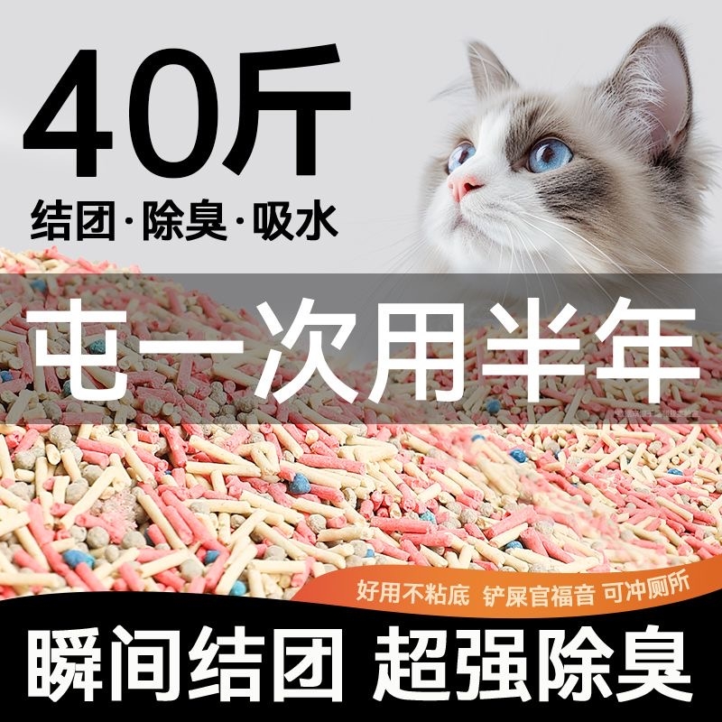 豆腐砂40斤遮臭|超1000次加购