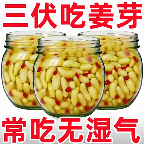 淄博枸杞泡姜芽新鲜嫩姜芽酸甜腌制特产泡菜下饭菜糖醋生姜姜片