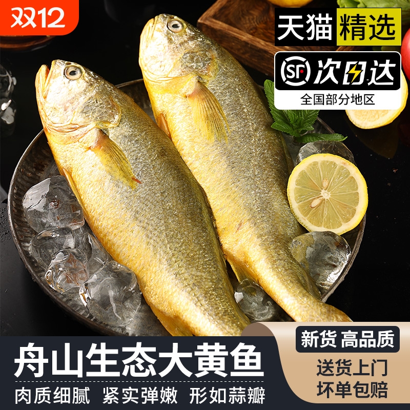 遇上鲜】舟山生态大黄鱼顺丰到家