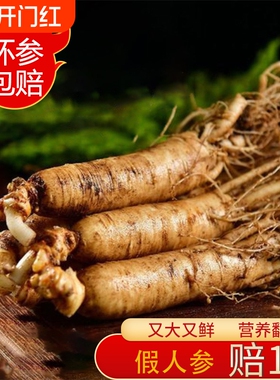 鲜人参长白山东北人参整根新鲜人叁泡酒煲汤专用高年参现挖保鲜