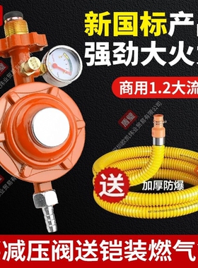 【厂家直销批发】新国标安检必过大流量JYT-1.2液化气安全减压阀