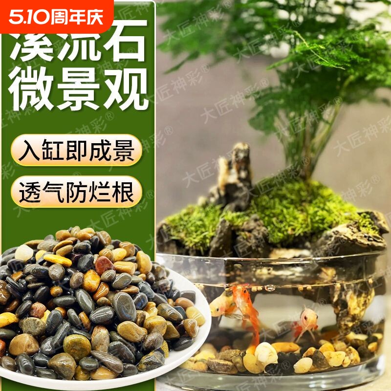 天然溪流石鱼缸底砂造景水族乌龟专用装饰鹅卵石雷龙底沙生态龟缸