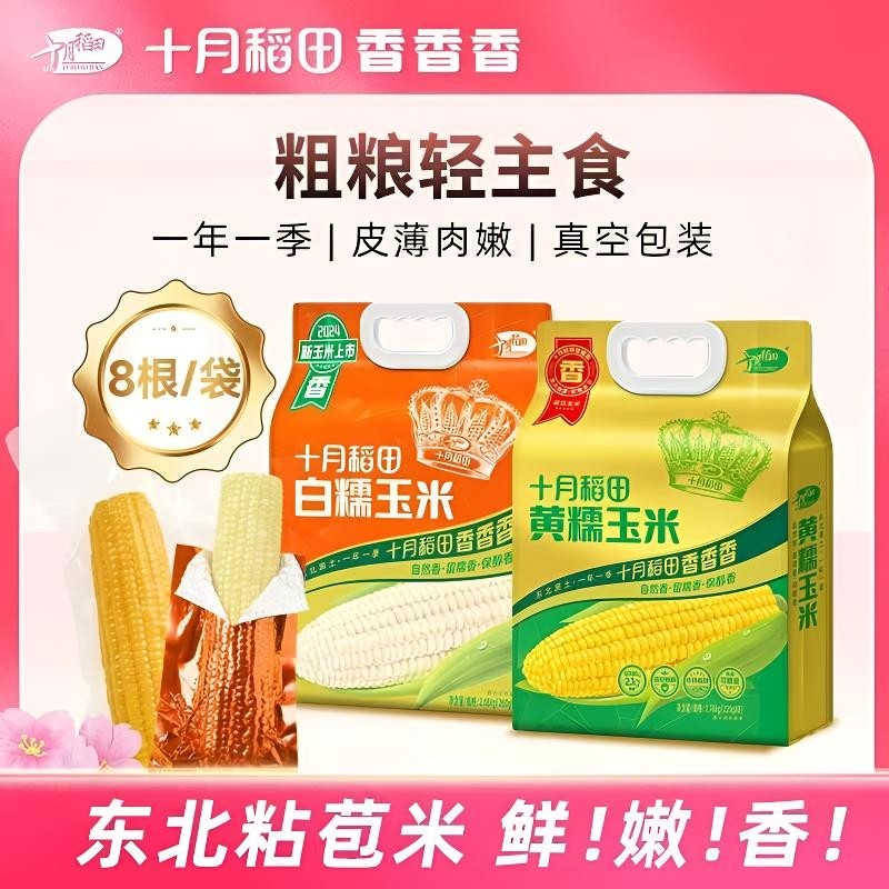 十月稻田粗粮轻食黄糯白糯黑糯玉米棒香甜糯东北黏苞米早餐食材