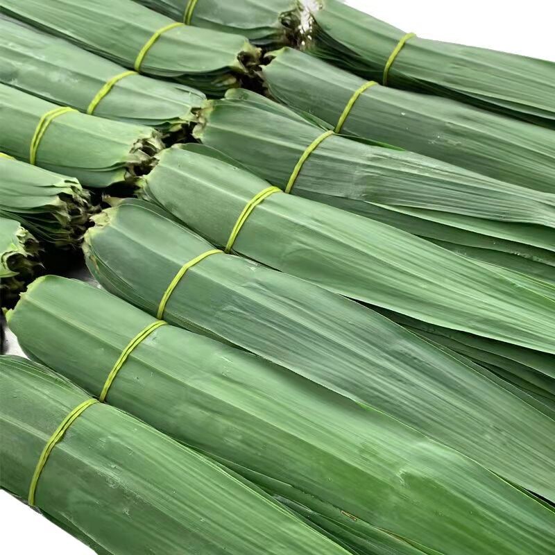洪湖野生粽叶新鲜芦苇叶粽叶端午包粽子天然现摘大号叶子新鲜包邮
