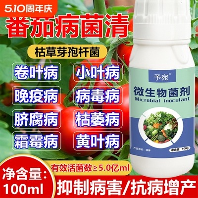 西红柿病毒病专用药番茄病菌清白粉病根腐病病害全治杀菌剂结果