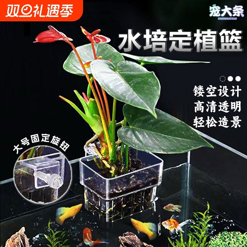 鱼缸植物固定器水培架定植篮壁挂式水草杯绿萝支架造景装饰配件