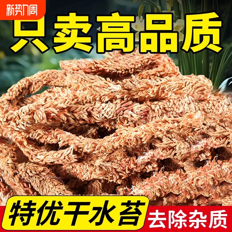 毛毛虫水苔智利进口蝴蝶兰植物兰花专用土干苔藓植料乌龟冬眠垫材