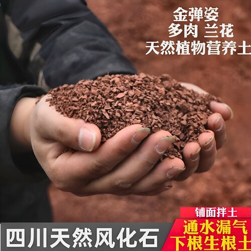 四川天然风化石颗粒金弹子专用土种植营养土多肉兰花盆景生根基质