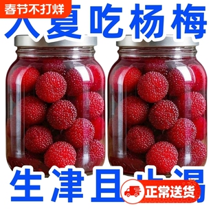 新鲜杨梅罐头大罐当季现摘大果老树鲜果水果罐头糖水商用烘焙原料