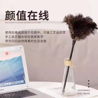 纯手工真鸵鸟毛掸子家用除尘扫灰神器放静电灰尘伸缩清扫不掉毛