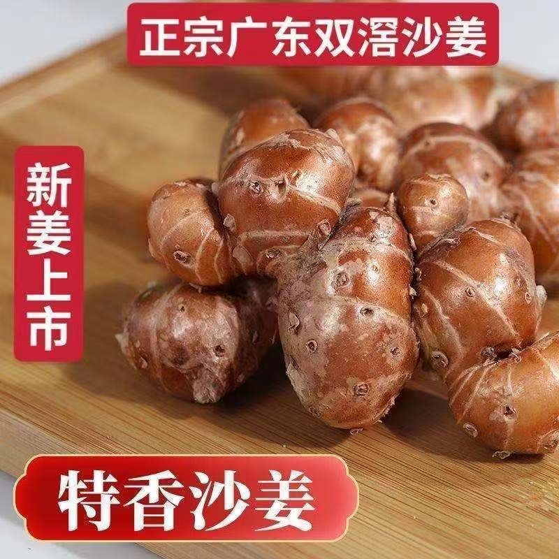 现挖老姜广东沙姜新鲜现挖沙姜土产食用椰子鸡蘸料调料种子批发