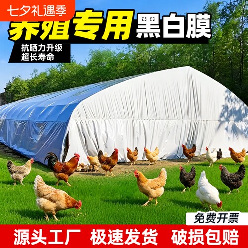 大棚专用黑白膜养殖加厚进口防晒鱼塘防渗膜隔热反光膜塑料膜防水
