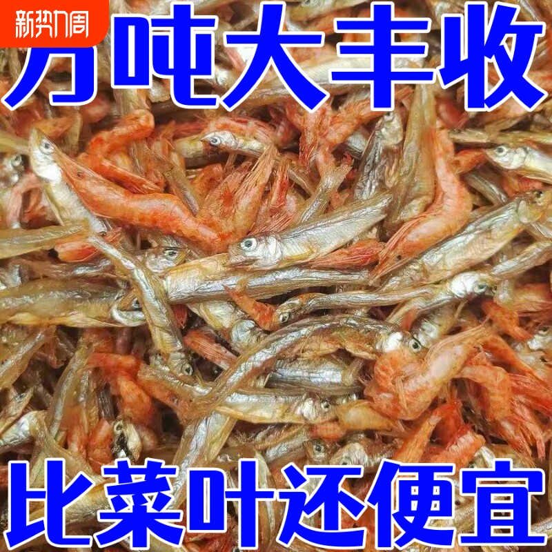 活动】小鱼小虾农家自制白条鱼小虾干货即食小鱼干鱼干淡水特色