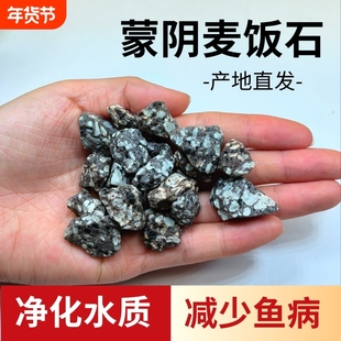 麦饭石颗粒大净水石头泡茶烧水煮饭家用水缸过滤鱼缸造景水质火山