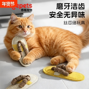 丝瓜络猫咪玩具自嗨解闷神器木天蓼啃咬洁齿虫瘿果小猫幼猫磨牙棒