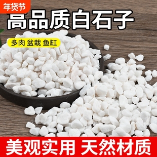 白石子鱼缸铺底盆栽铺面铺地鹅卵石阳台装饰花园庭院造景溪流盆景