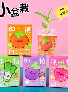 【1盒】迷你儿童种植盆栽