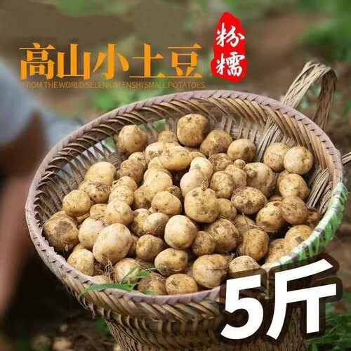 新鲜现挖恩施小土豆蔬菜