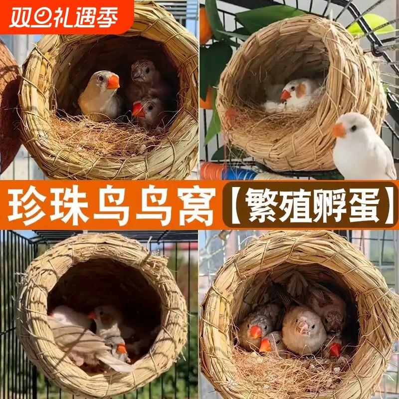 珍珠鸟鸟窝四季通用文鸟繁殖箱下蛋鹦鹉专用睡觉草窝鸟巢用品大全