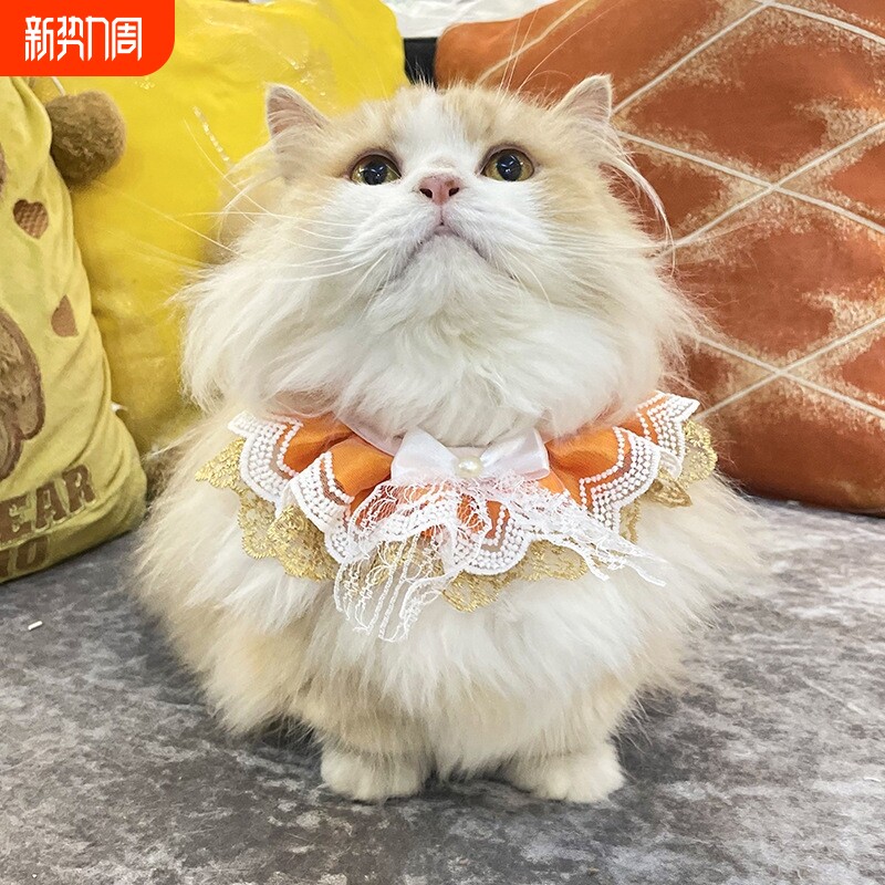 猫咪围脖领结宠物项圈围兜口水巾针织围领装饰品围嘴可爱饰品批发