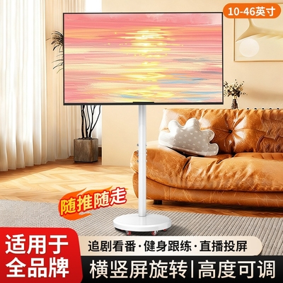 电视可移动闺蜜机支架落地挂架子