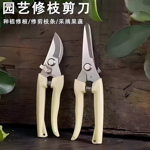园艺师推荐树枝花卉不锈钢修枝剪