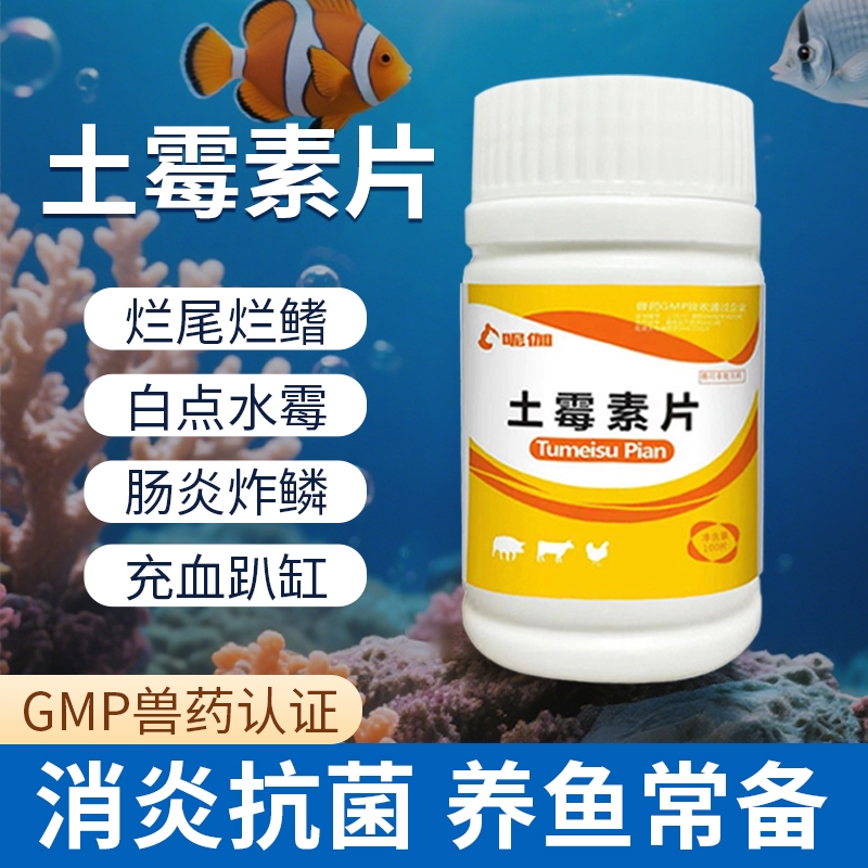 土霉素水族鱼药烂身烂尾