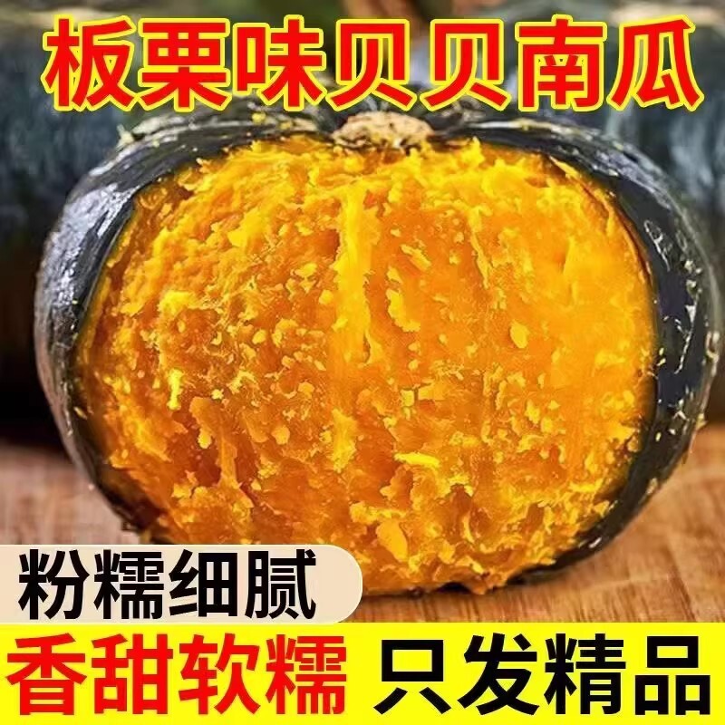 正宗板栗味贝贝小南瓜5斤小南瓜栗面老瓜正品新鲜婴儿粉糯香甜3斤