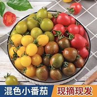多彩小番茄（不低于5色）3斤顺丰发货