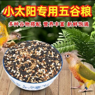 小太阳鹦鹉专用营养鸟粮真空装