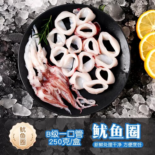 生鲜鱿鱼冷冻商用批发鲜活鱿鱼圈