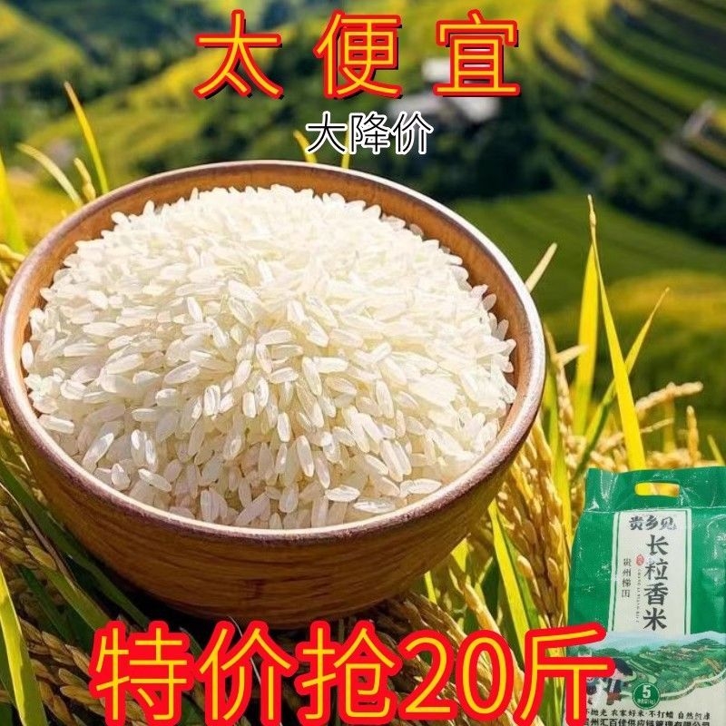贵乡见大米2025年新米贵州梯田长粒香米农家米清香软糯10斤装香米