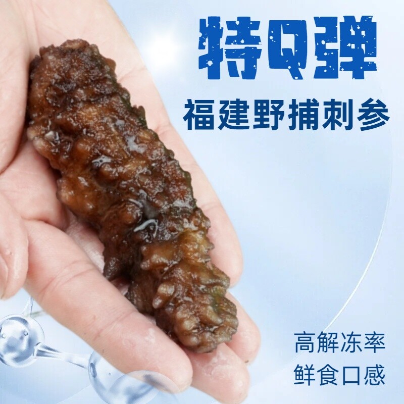 福建深海捕捞野货刺参口感筋道即食海参鲜活加工独立包装高营养