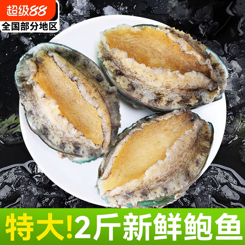 新鲜特大鲍鱼肉【顺丰闪送】图片