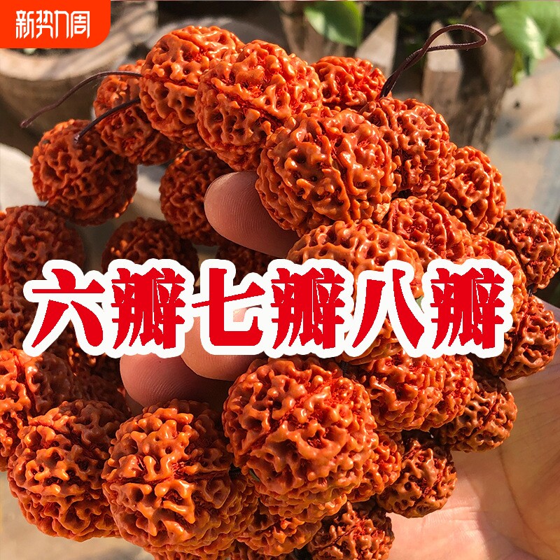 落地红印尼大金刚菩提手串七瓣八瓣男女爆肉双龙佛珠手链手持文玩