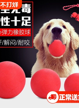 狗狗玩具耐咬tpr橡胶实心弹力球狗狗用品宠物玩具球球大中小型犬
