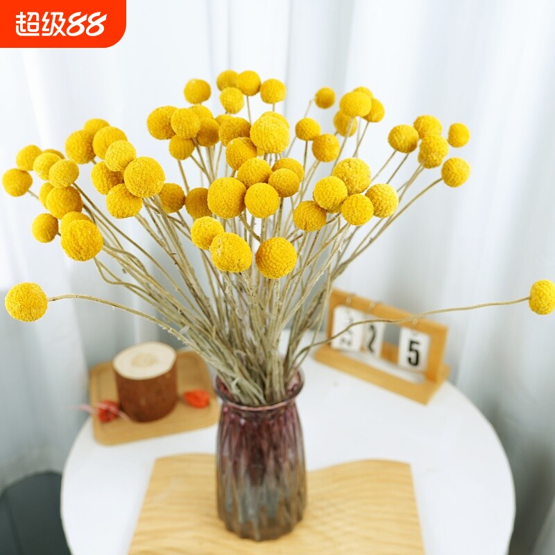 真干花黄金球套装干花天然风干图片