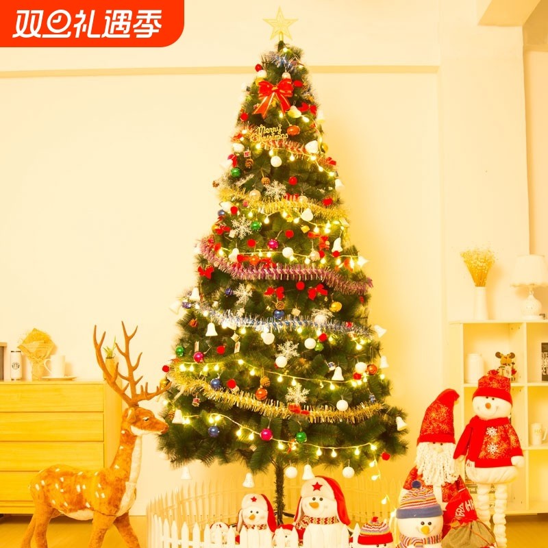 2025新款diy仿真圣诞树小型大型客厅圣诞节挂件摆件加密五角星