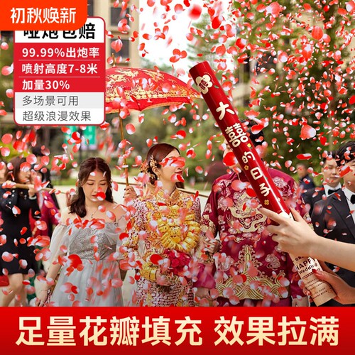 结婚礼炮蝴蝶喷筒婚庆生日节日婚礼派对手持礼花筒花瓣手拧式璀璨